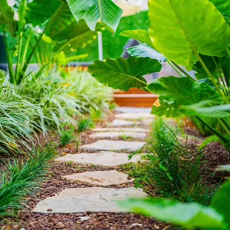 Hotel apartamentowy Zeluxe