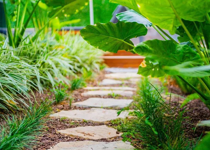 公寓式酒店 Zeluxe